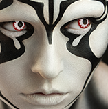 Contact Lenses