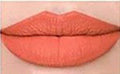 Georgia #24 Lip Assassin Matte Liquid Lipstick