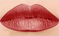 Vivian Vendetta-Sinclaire (The Viv) #41 Lip Assassin Matte Liquid Lipstick
