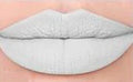 Frost #51 Lip Assassin Matte Liquid Lipstick