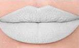 Frost #51 Lip Assassin Matte Liquid Lipstick