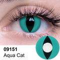 Aqua Cat Contact Lenses