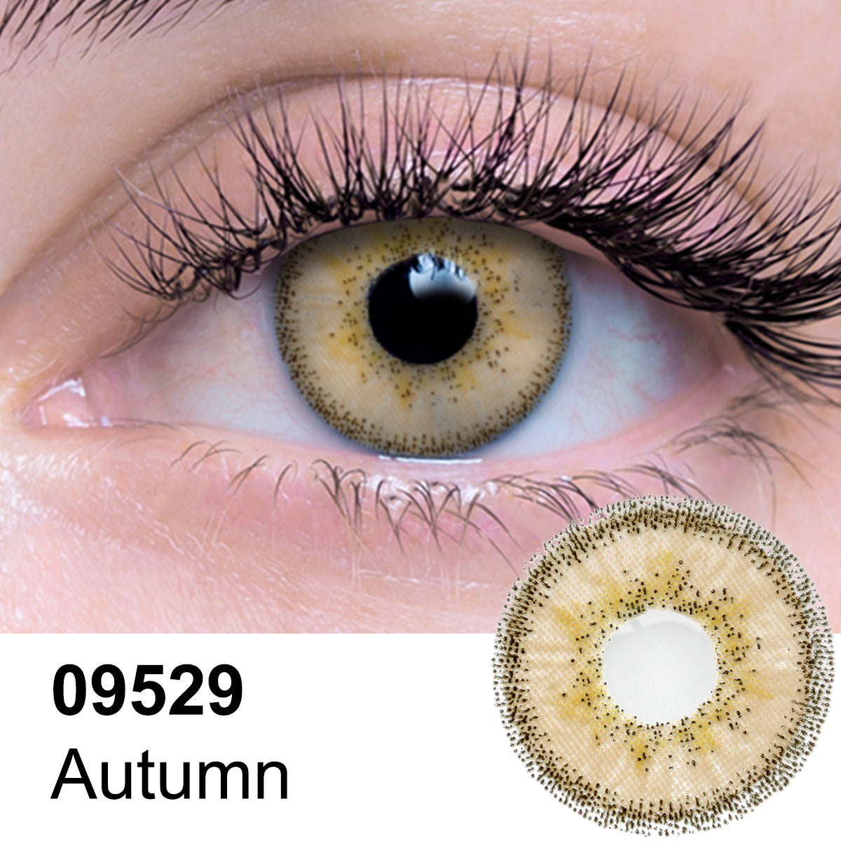 Autumn Contact Lenses