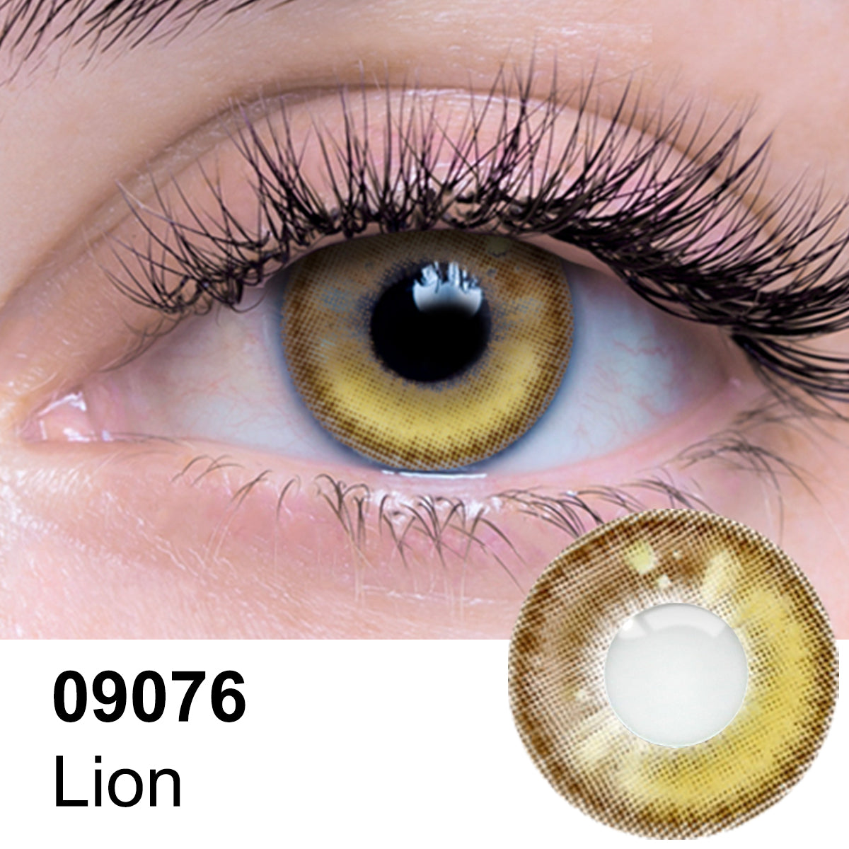 Lion Contact Lenses