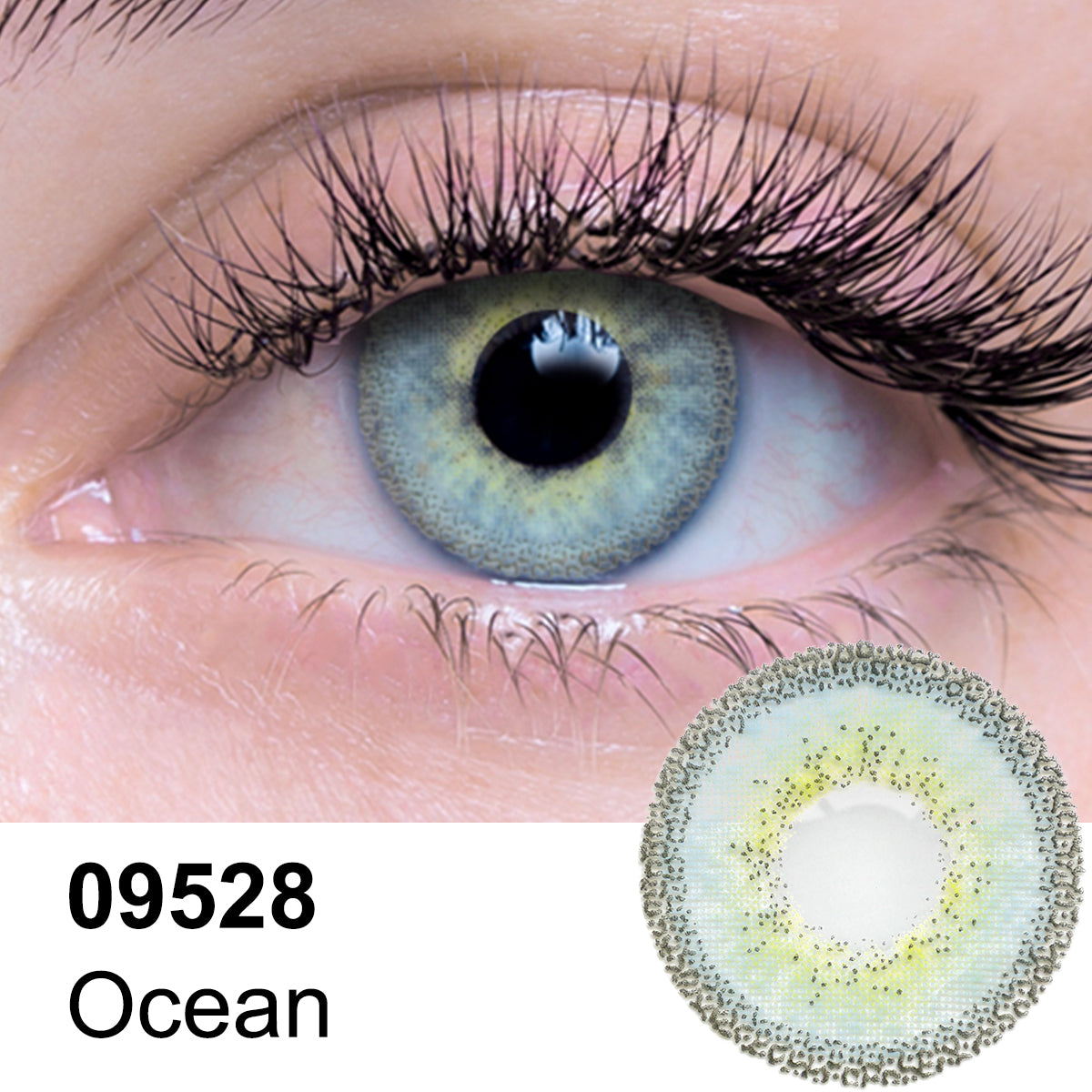 Ocean Contact Lenses