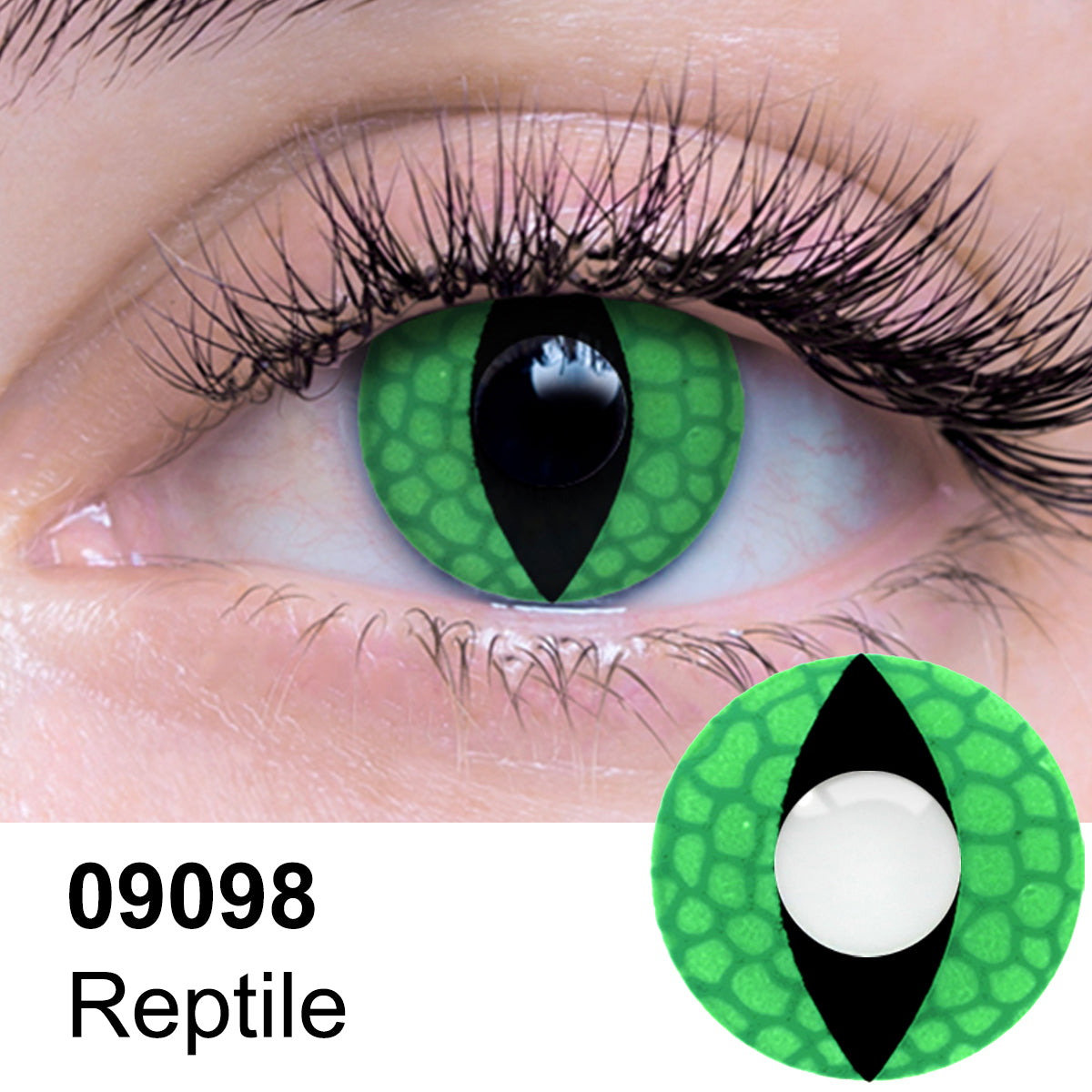 Reptile Contact Lenses
