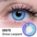 Snow Leopard Contact Lenses