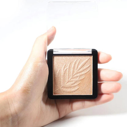 Moonlit Alchemy - 12 Shade Highlighter