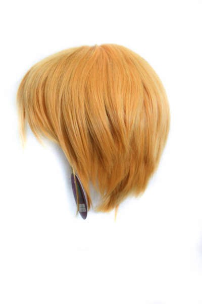Ken - Honey Blond