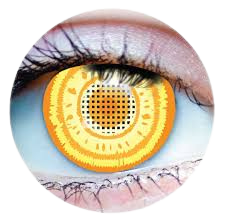 Makima - Primal Contact Lenses