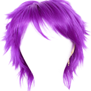 Shiki - Indigo Purple